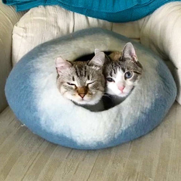Cat Cave